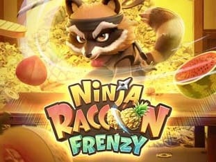 Ninja Racoon Frenzy game thumbnail